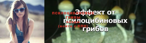 соль курить ск Верхний Тагил