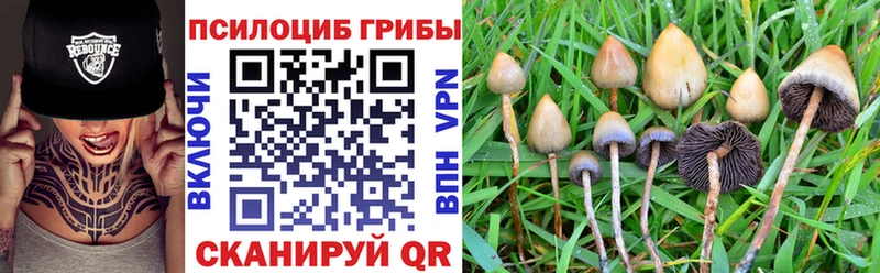 как найти закладки  Бердск  Галлюциногенные грибы прущие грибы 