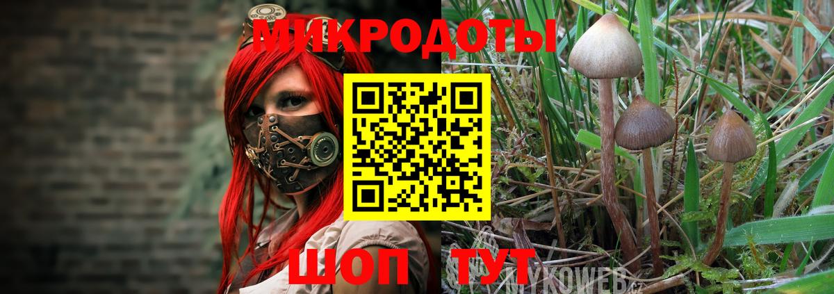 Псилоцибиновые грибы Magic Shrooms Бердск