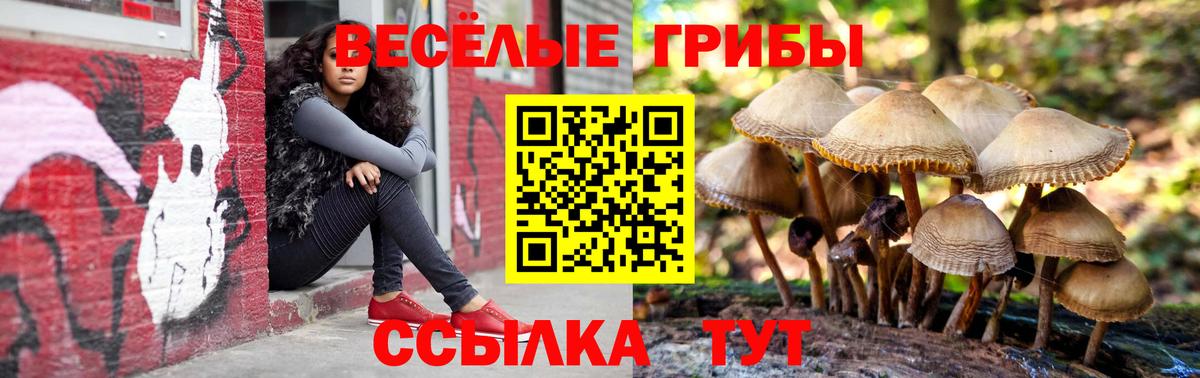 Псилоцибиновые грибы Magic Shrooms Бердск