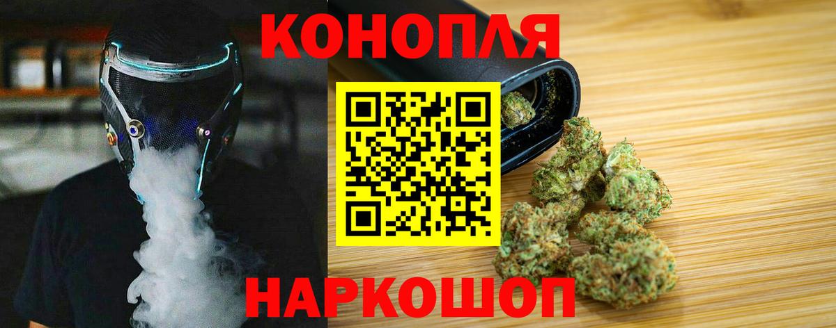 Бошки Шишки план  Каннабис SATIVA & INDICA  Бердск  Марихуана семена 
